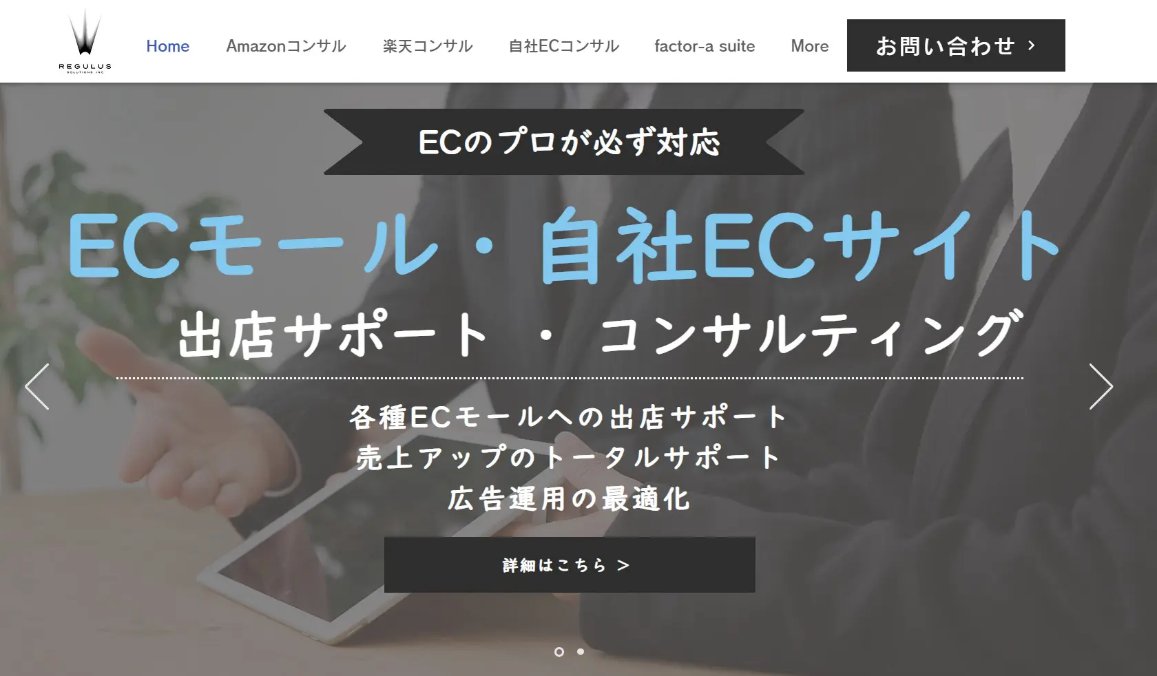 レギュラス・ソリューションズ