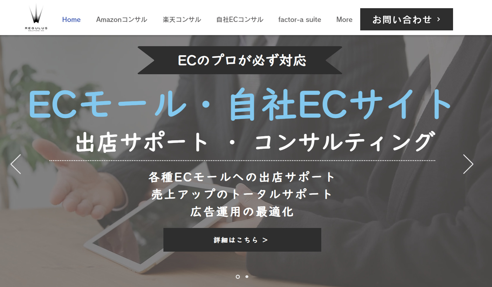 レギュラス・ソリューションズ